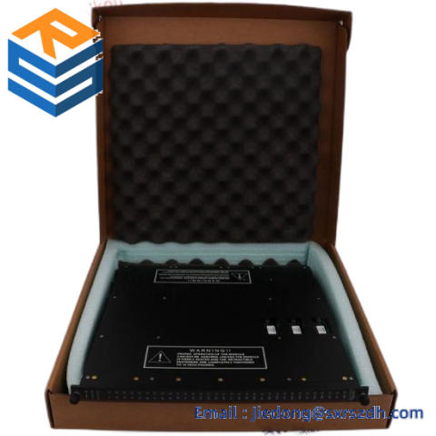 TRICONEX 9562-810 Industrial Control Module